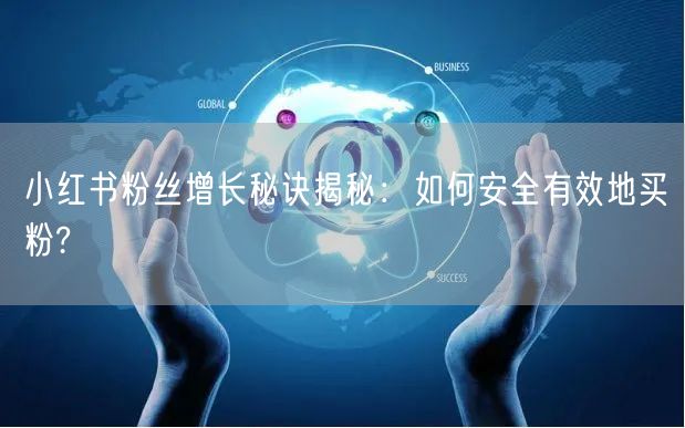 小红书粉丝增长秘诀揭秘：如何安全有效地买粉?