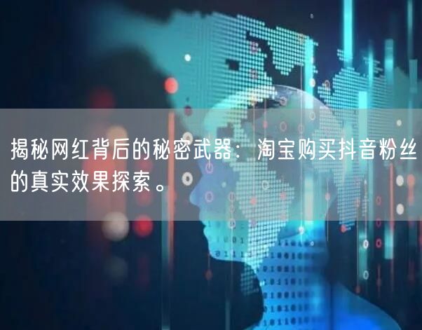 揭秘网红背后的秘密武器：淘宝购买抖音粉丝的真实效果探索。