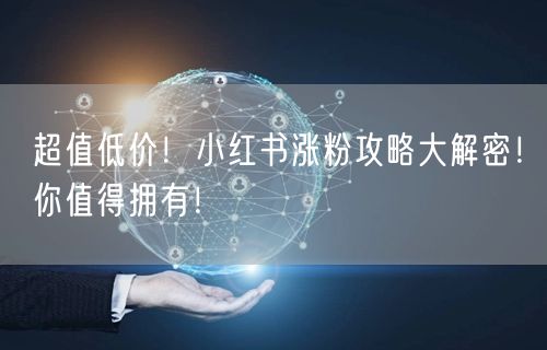 超值低价！小红书涨粉攻略大解密！你值得拥有！