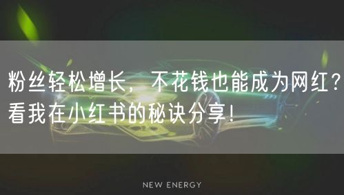 粉丝轻松增长，不花钱也能成为网红？看我在小红书的秘诀分享！