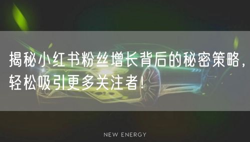 揭秘小红书粉丝增长背后的秘密策略，轻松吸引更多关注者！