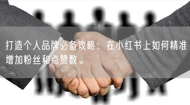 打造个人品牌必备攻略：在小红书上如何精准增加粉丝和点赞数。