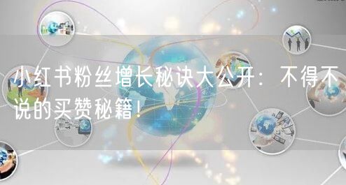 小红书粉丝增长秘诀大公开：不得不说的买赞秘籍！