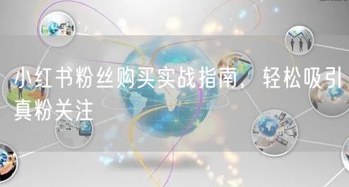 小红书粉丝购买实战指南，轻松吸引真粉关注