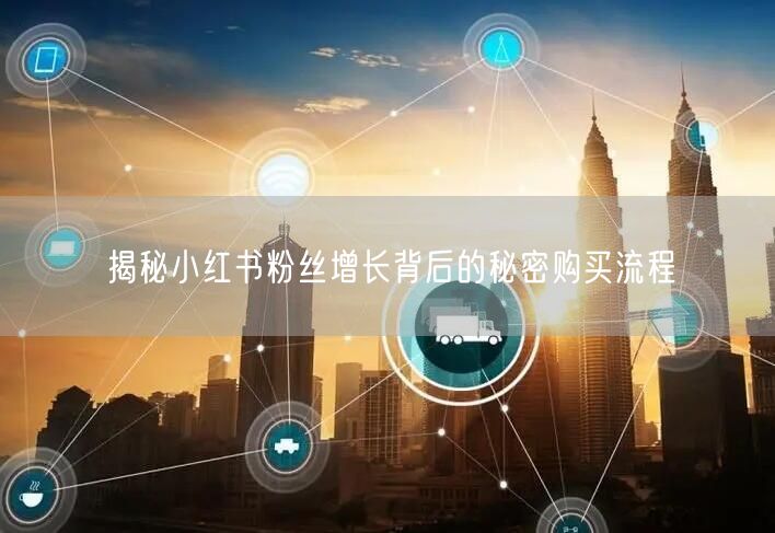 揭秘小红书粉丝增长背后的秘密购买流程