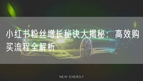 小红书粉丝增长秘诀大揭秘：高效购买流程全解析
