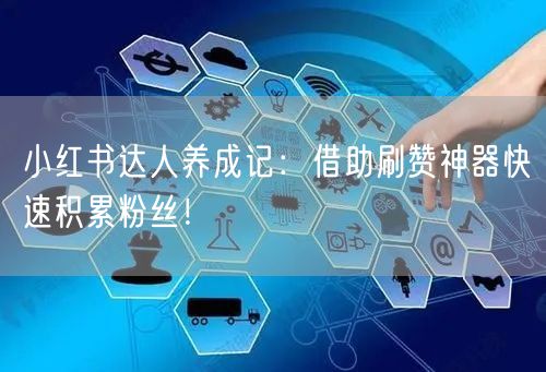 小红书达人养成记：借助刷赞神器快速积累粉丝！