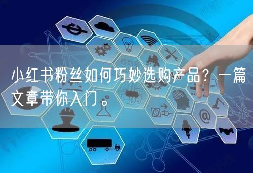 小红书粉丝如何巧妙选购产品？一篇文章带你入门。