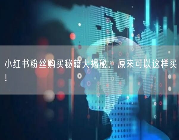 小红书粉丝购买秘籍大揭秘，原来可以这样买！
