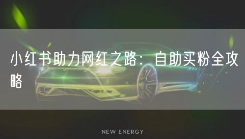 小红书助力网红之路：自助买粉全攻略