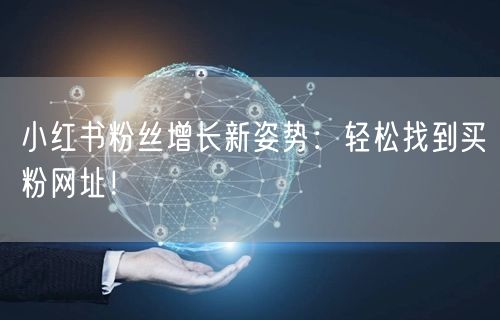 小红书粉丝增长新姿势：轻松找到买粉网址！