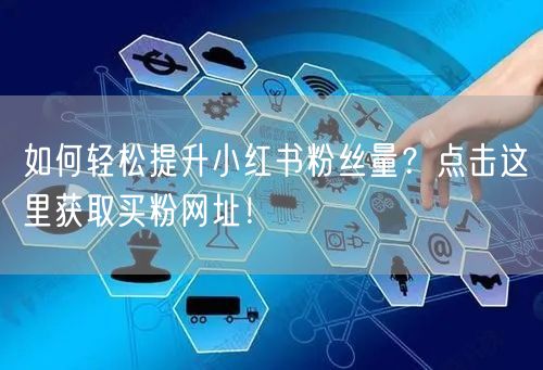 如何轻松提升小红书粉丝量？点击这里获取买粉网址！