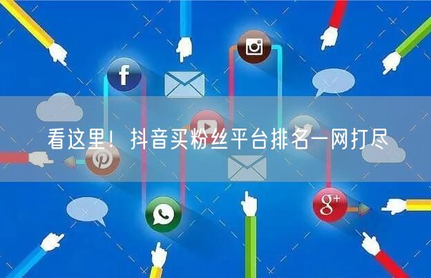 看这里！抖音买粉丝平台排名一网打尽