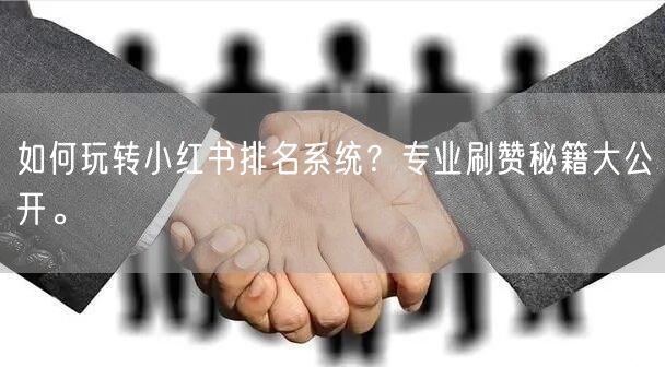 如何玩转小红书排名系统？专业刷赞秘籍大公开。