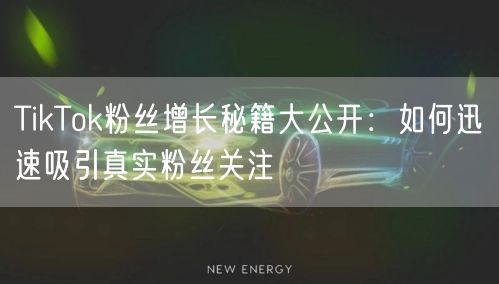 TikTok粉丝增长秘籍大公开：如何迅速吸引真实粉丝关注
