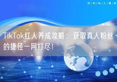 TikTok红人养成攻略：获取真人粉丝的捷径一网打尽！